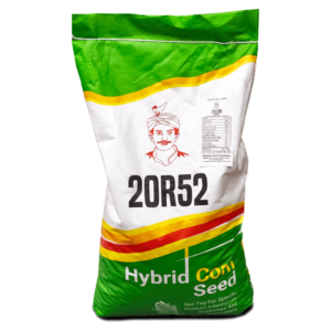 20R52 – HYBRID CORN