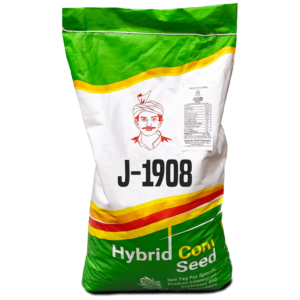J-1908 – HYBRID CORN