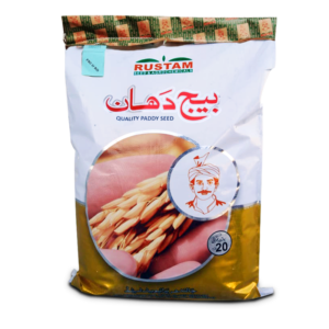 BEEJ DHAN (PADDY SEED)