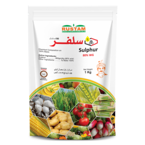 SULPHUR 80% WG