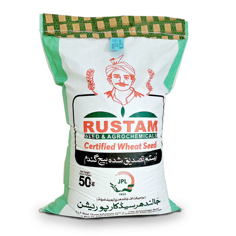 WHEAT SEED